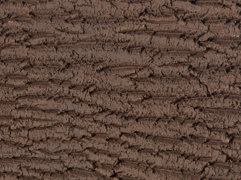 Tree Bark - Brown